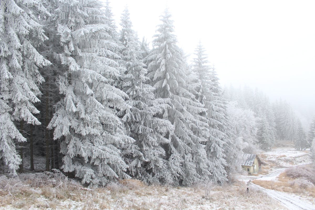 La durée des jours après le solstice d’hiver : tout ce que vous devez savoir