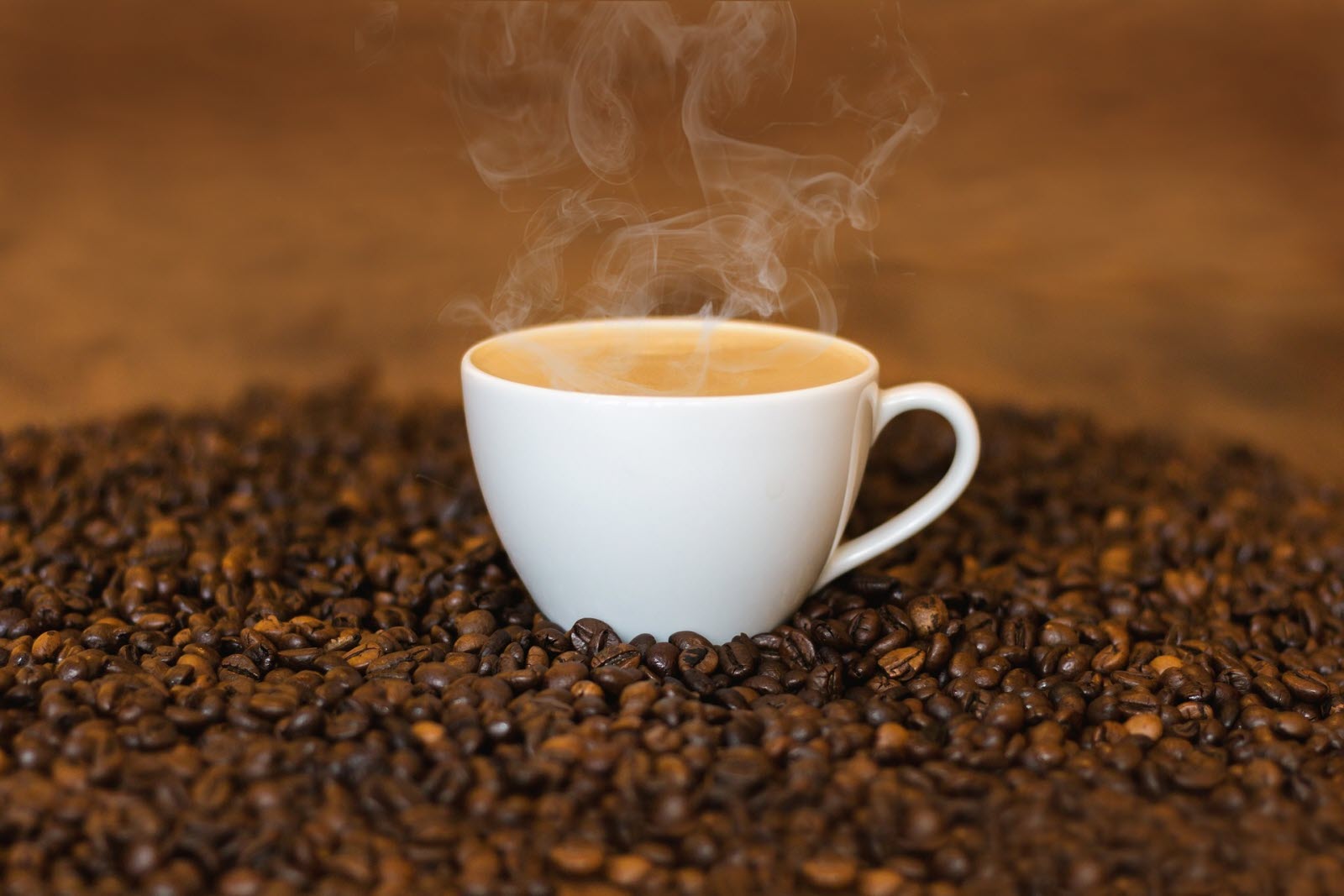 Quelles sont les propriétés du café ?
